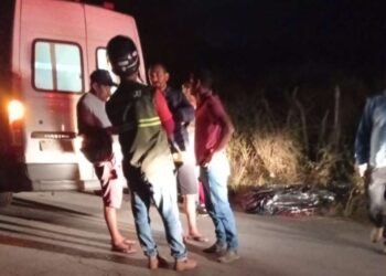 Motociclista falece em acidente fatal envolvendo cavalo solto na AL-210 em Quebrangulo