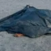 Jovem é assassinado a tiros em lava-jato às margens da BR-101 em Alagoas