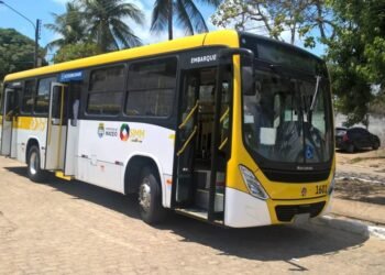 Nova linha alimentadora em Cruz das Almas começa a operar na segunda-feira