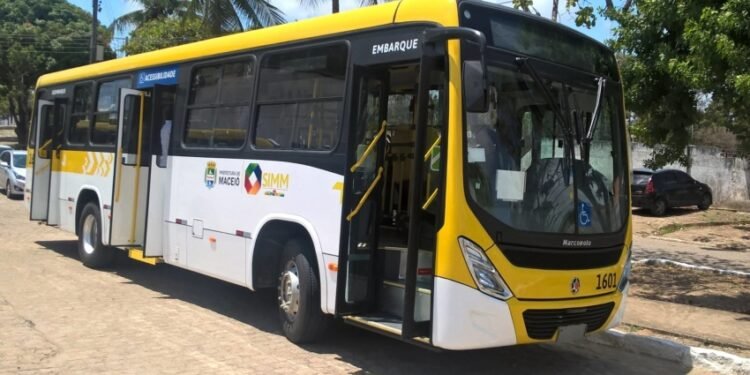 Nova linha alimentadora em Cruz das Almas começa a operar na segunda-feira