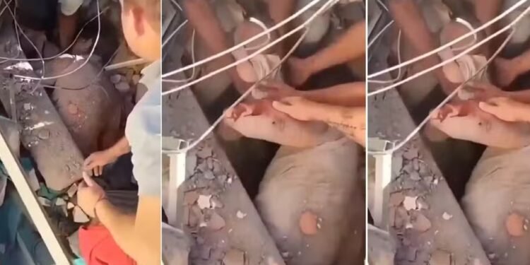 Bebê de 6 meses e mãe são resgatados dos escombros após terremoto na Colômbia