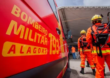 Árvore cai e bloqueia rua em Palmeira dos Índios, Alagoas