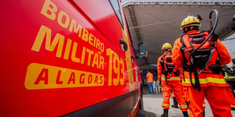 Árvore cai e bloqueia rua em Palmeira dos Índios, Alagoas
