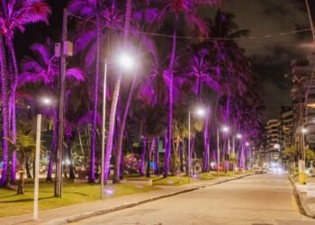 Maceió iluminada em tons de lilás em campanha contra violência doméstica