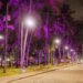 Maceió iluminada em tons de lilás em campanha contra violência doméstica