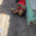 Ex-presidiário acusado de homicídio é morto com 12 tiros no Jacintinho