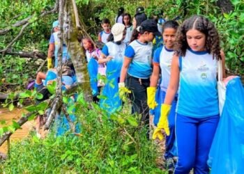 Estudantes de Maceió se engajam em ação de preservação do manguezal