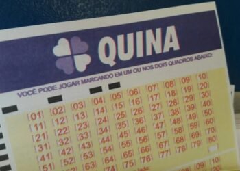 Quina acumula e prêmio chega a R$ 11,3 milhões; confira os números do concurso 7106