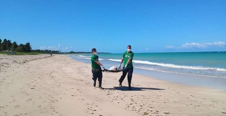 Tartaruga resgatada com ferimentos por rede de pesca em Maceió