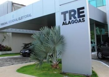 Como acompanhar processos eleitorais e registros de candidaturas de forma simples e gratuita