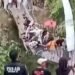 Ponte desaba durante cerimônia de inauguração na Indonésia